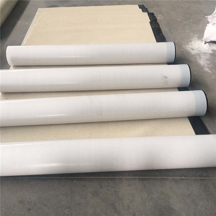 非瀝青基自粘膠膜防水卷材